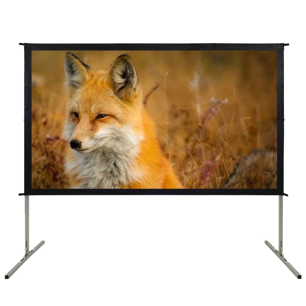 Fast-Fold Projection Screen 100" 16:9